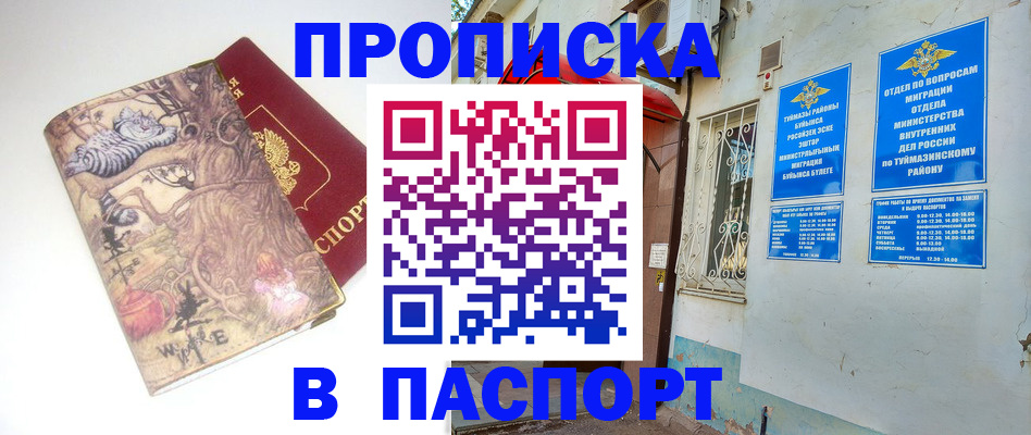пропишу в квартире в Павловском Посаде